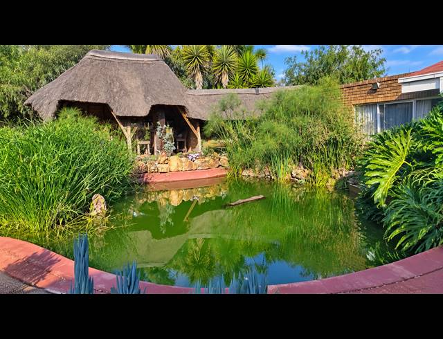 9.30HA FARM FOR SALE IN RIETSPRUIT